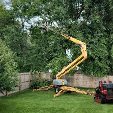 Best Lawn Pest Prevention  in Amherst, VA