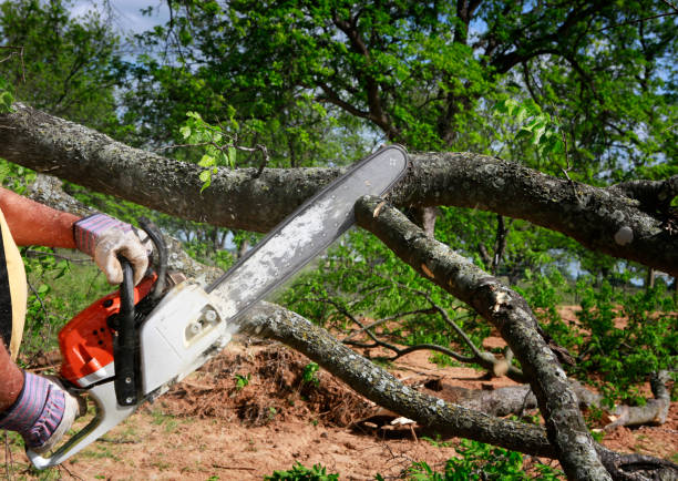 Mulching Services in Amherst, VA
